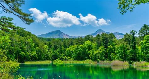 東北方在哪|面積約占本州1/3！日本東北地方是什麼樣的地區？ 